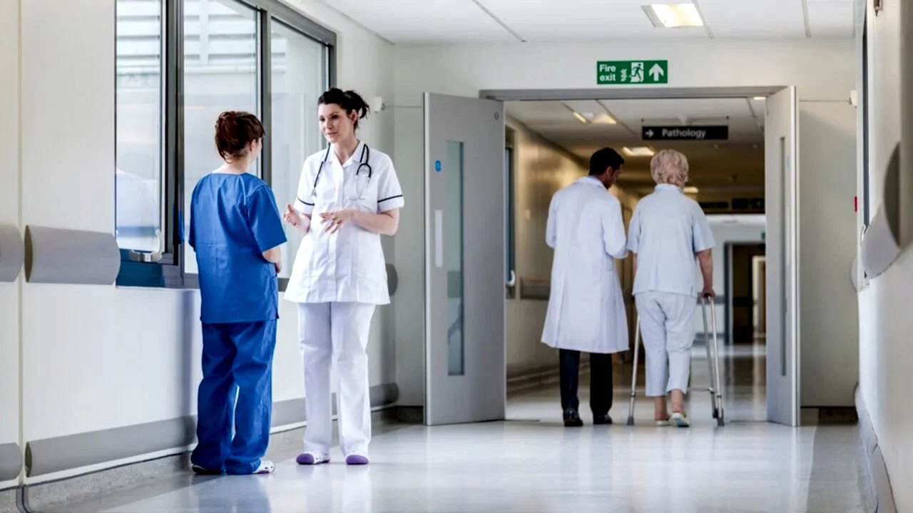 Yüksek Trafikli Alanlara Uygun Kolay Temizlenen İç Kapılar